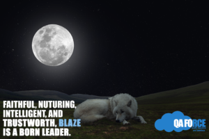 blaze-real-life-qaforce